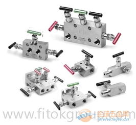 fitok閥組 儀表閥組 fitok表閥 fitok閥組系列
